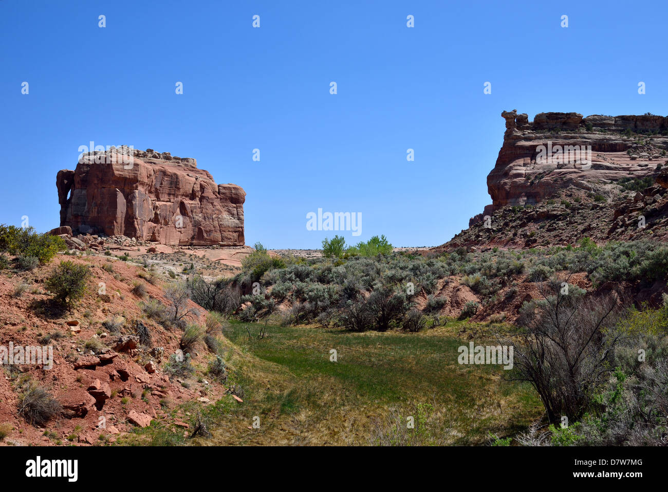 Acantilados de arenisca roja de la Meseta de Colorado. Moab, Utah, EE.UU.. Foto de stock