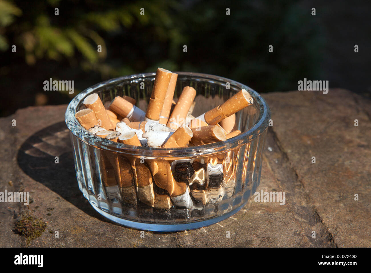 tabaco de liar, cenicero, boquillas y un cigarro encendido Stock Photo