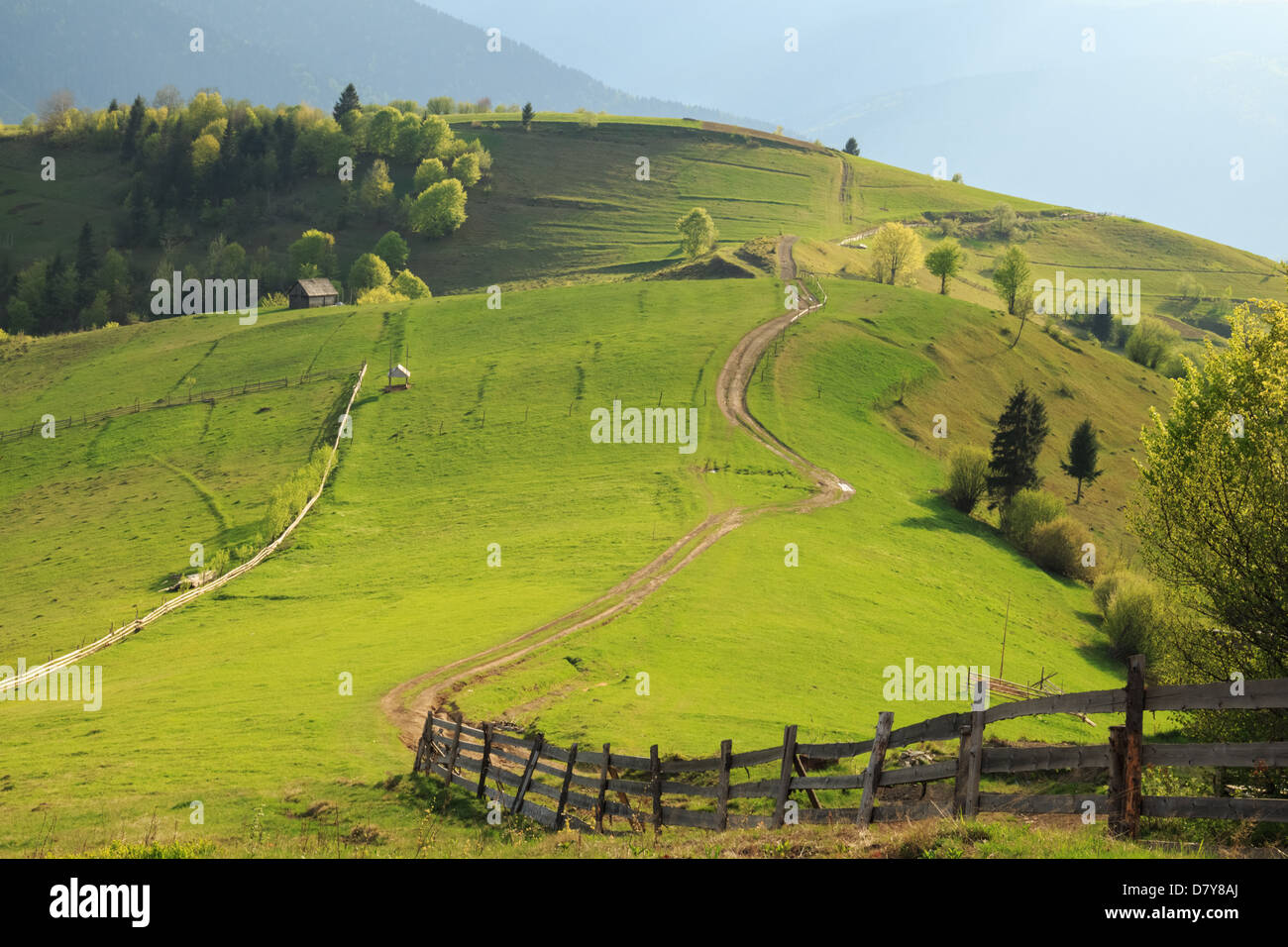Tarde de primavera paisaje rural con colinas esmeralda Mizhgorya en los Cárpatos Foto de stock