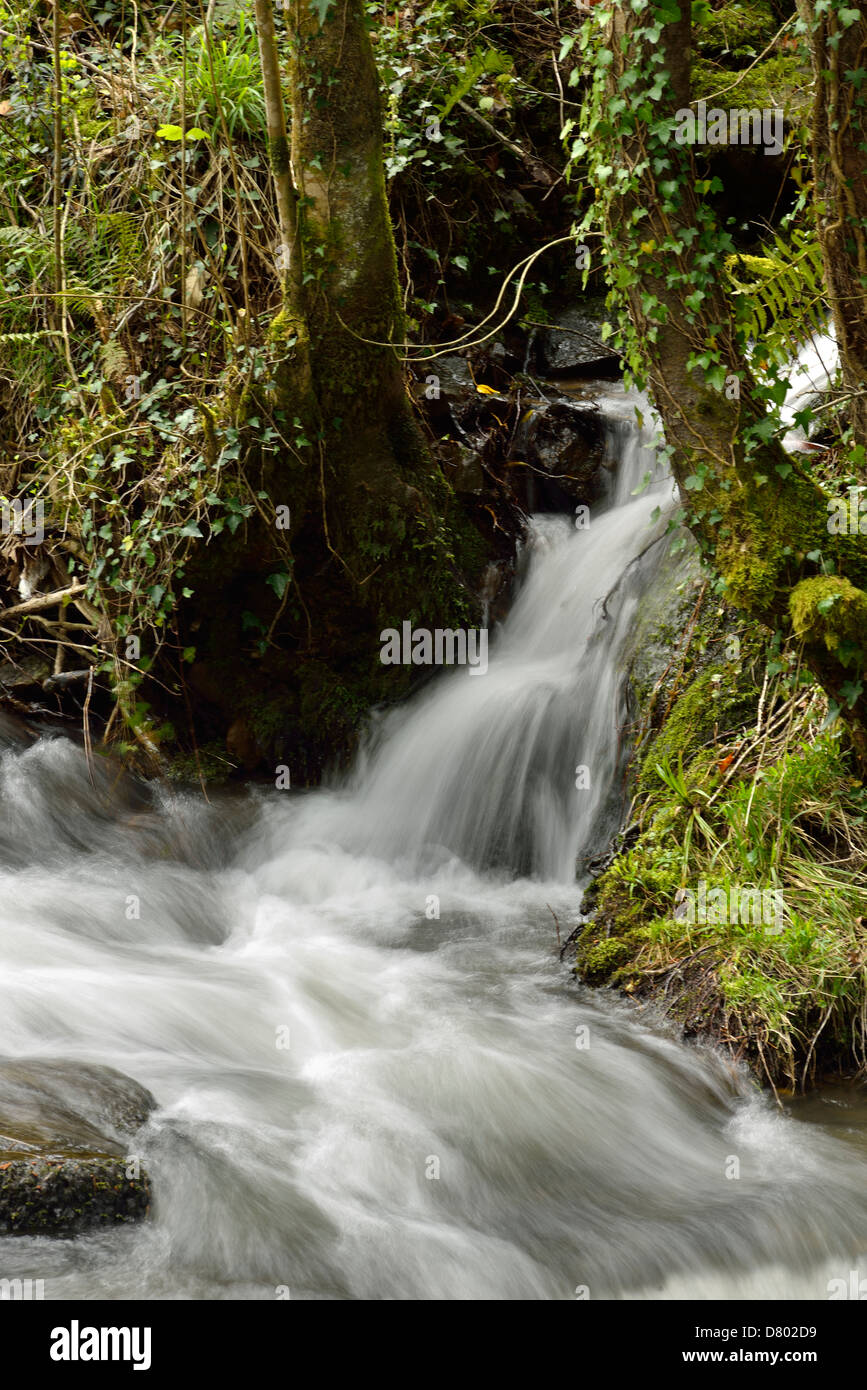 El agua caída, Cascada, Arroyo, Brook, arroyuelo, Runnel, Runlet Foto de stock