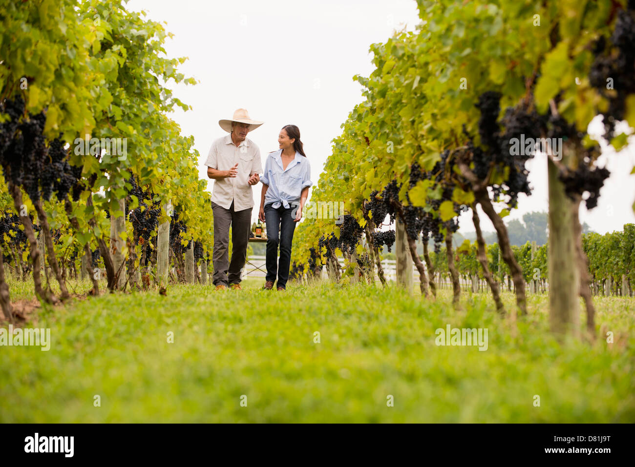 Los agricultores hablando en viña Foto de stock
