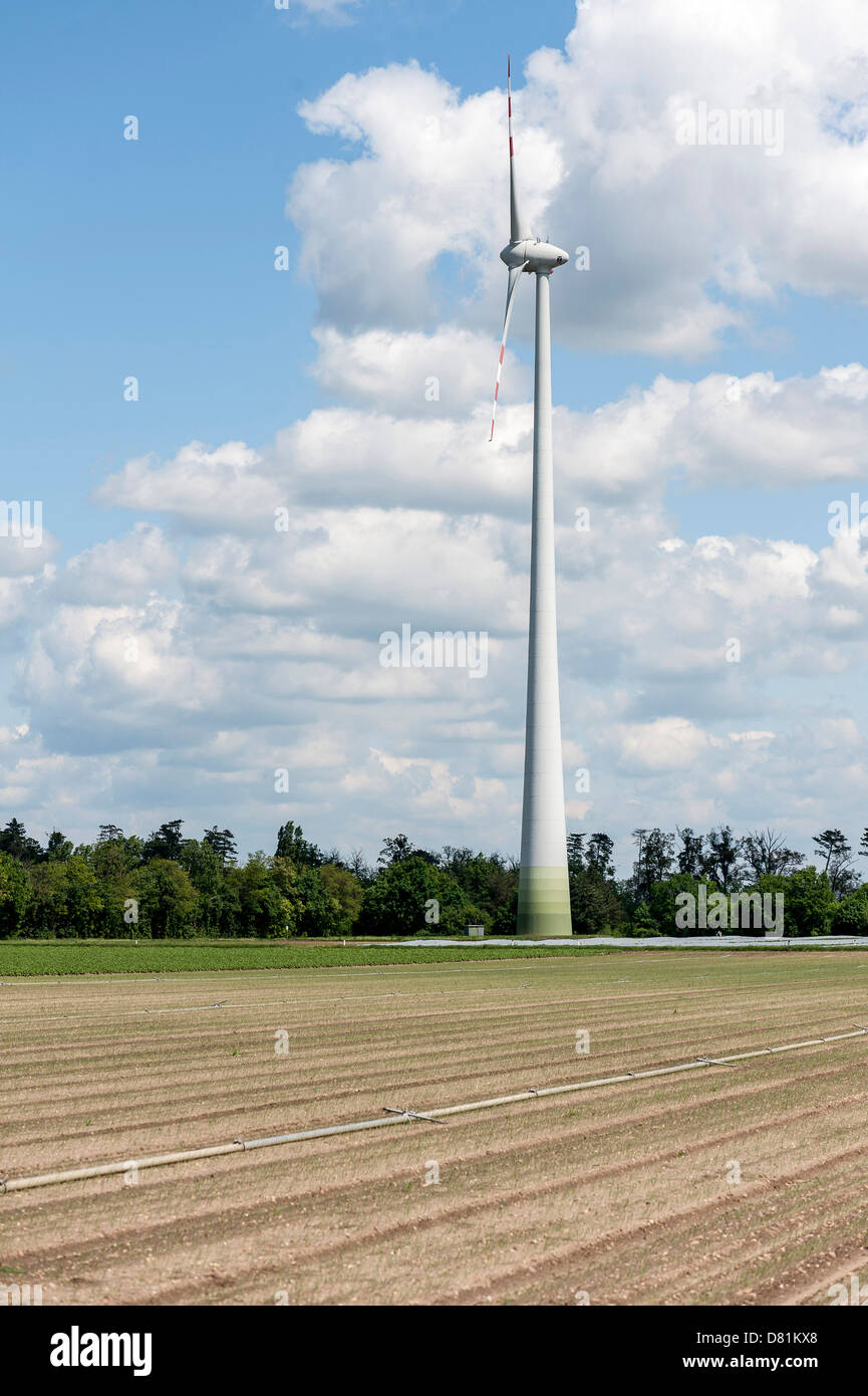 Fuente renovable de energía eólica en un campo de Marchfeld, Baja Austria, Austria Foto de stock