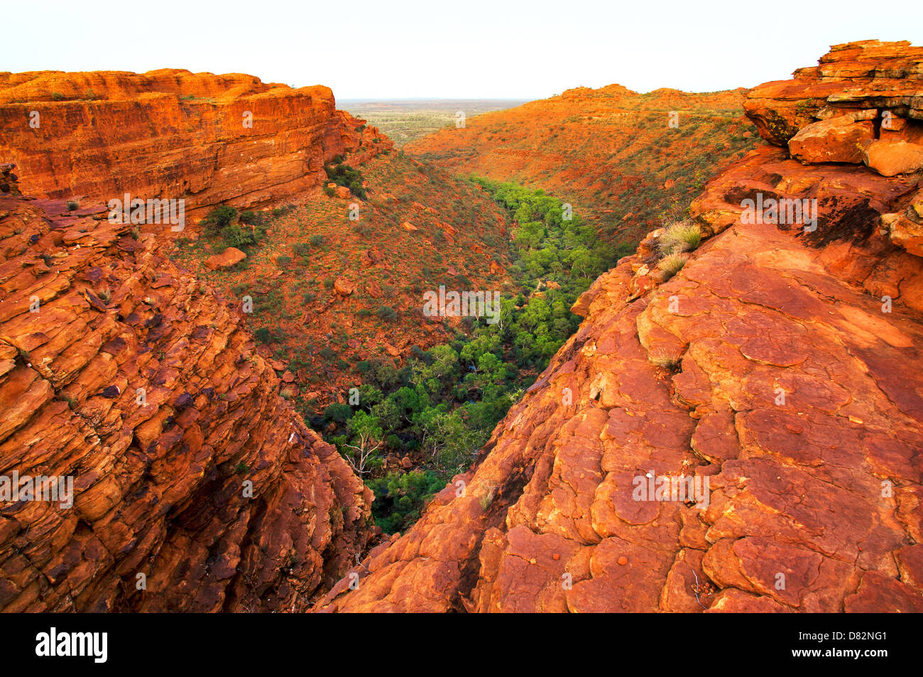 Brillantes rocas de Watarrka (Kings Canyon) al amanecer. Foto de stock