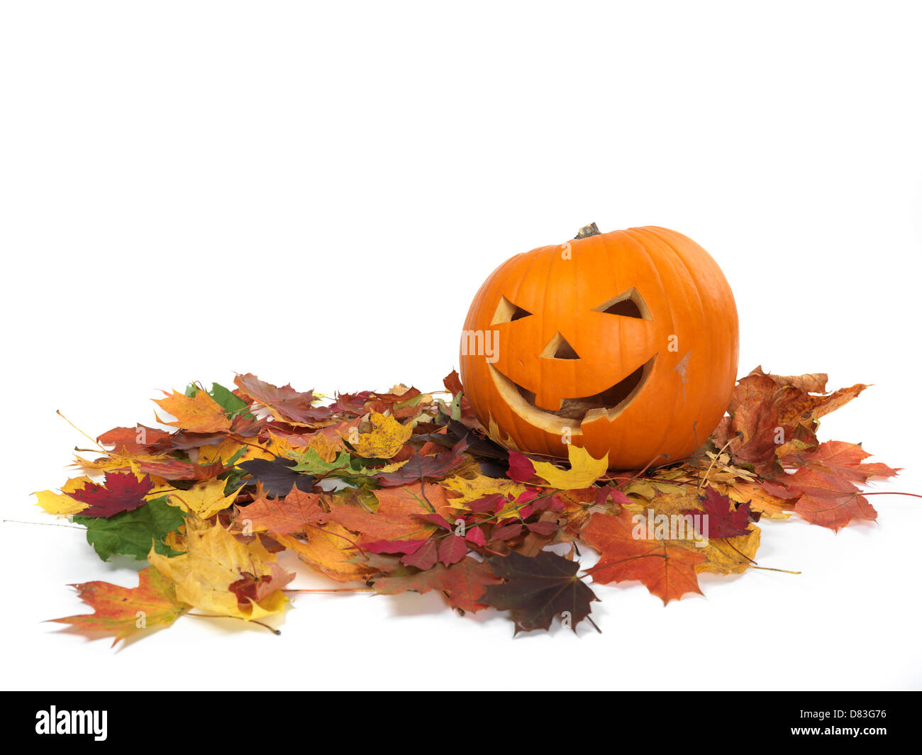 Calabazas sonrientes talladas en las coloridas hojas caer. Jack-o'-lantern símbolo de Halloween. Aislado sobre fondo blanco. Foto de stock