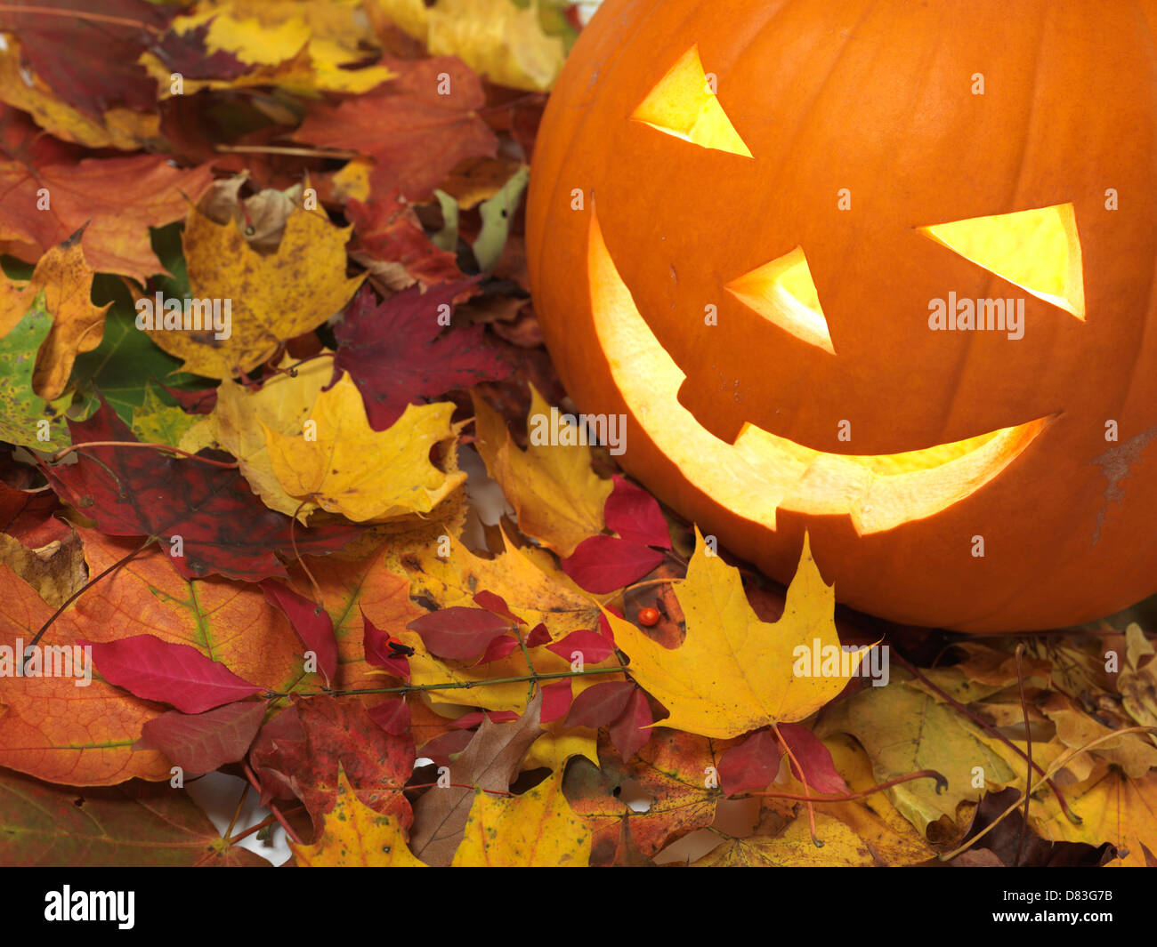 Calabazas sonrientes talladas en las coloridas hojas caer. Jack-o'-lantern símbolo de Halloween. Foto de stock
