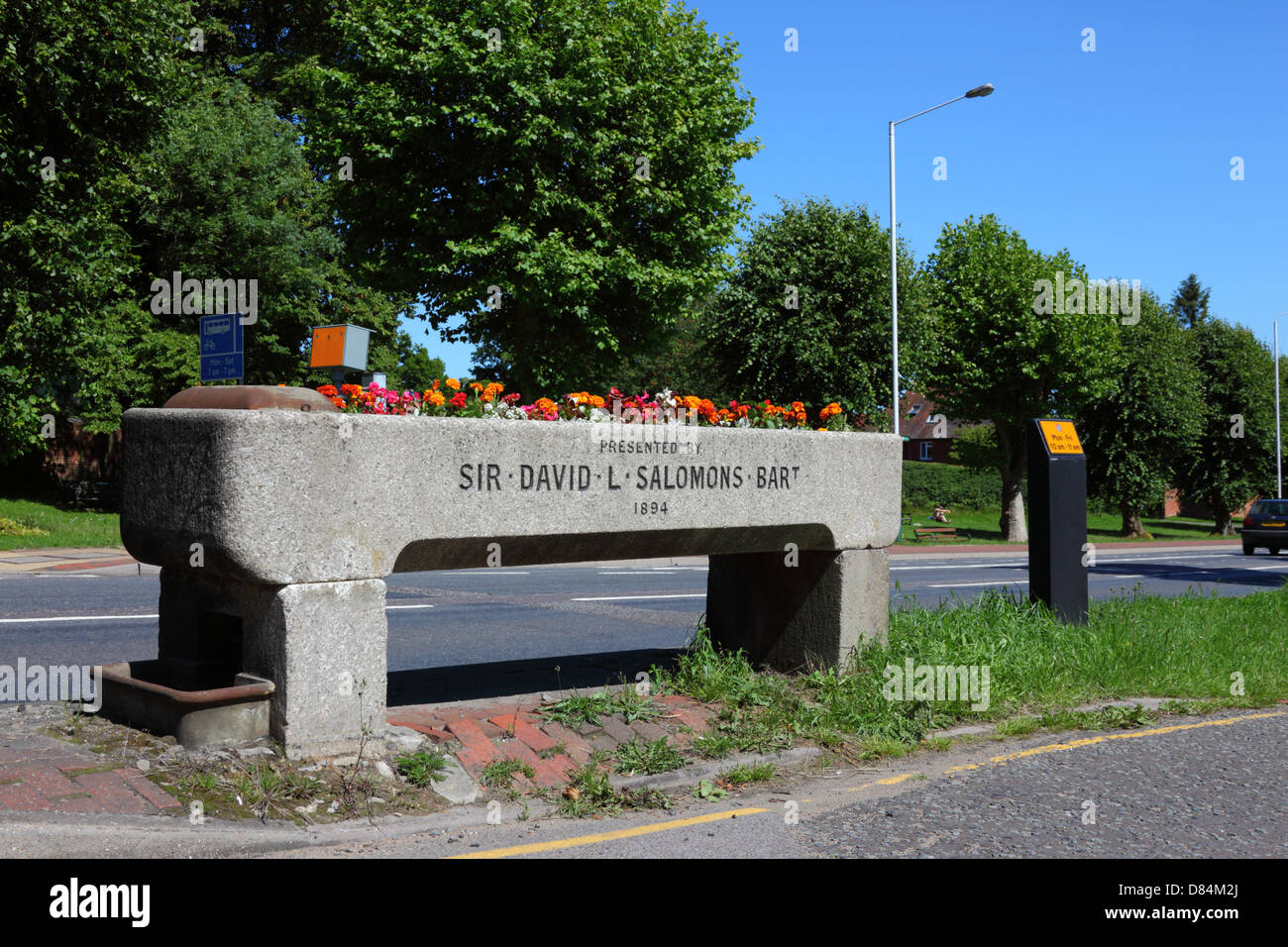 Flores en un canal de bebida de caballo de granito junto a A26, un regalo de Sir David Lionel Salomons a Southborough en 1894, Southborough Common, Kent, Reino Unido Foto de stock