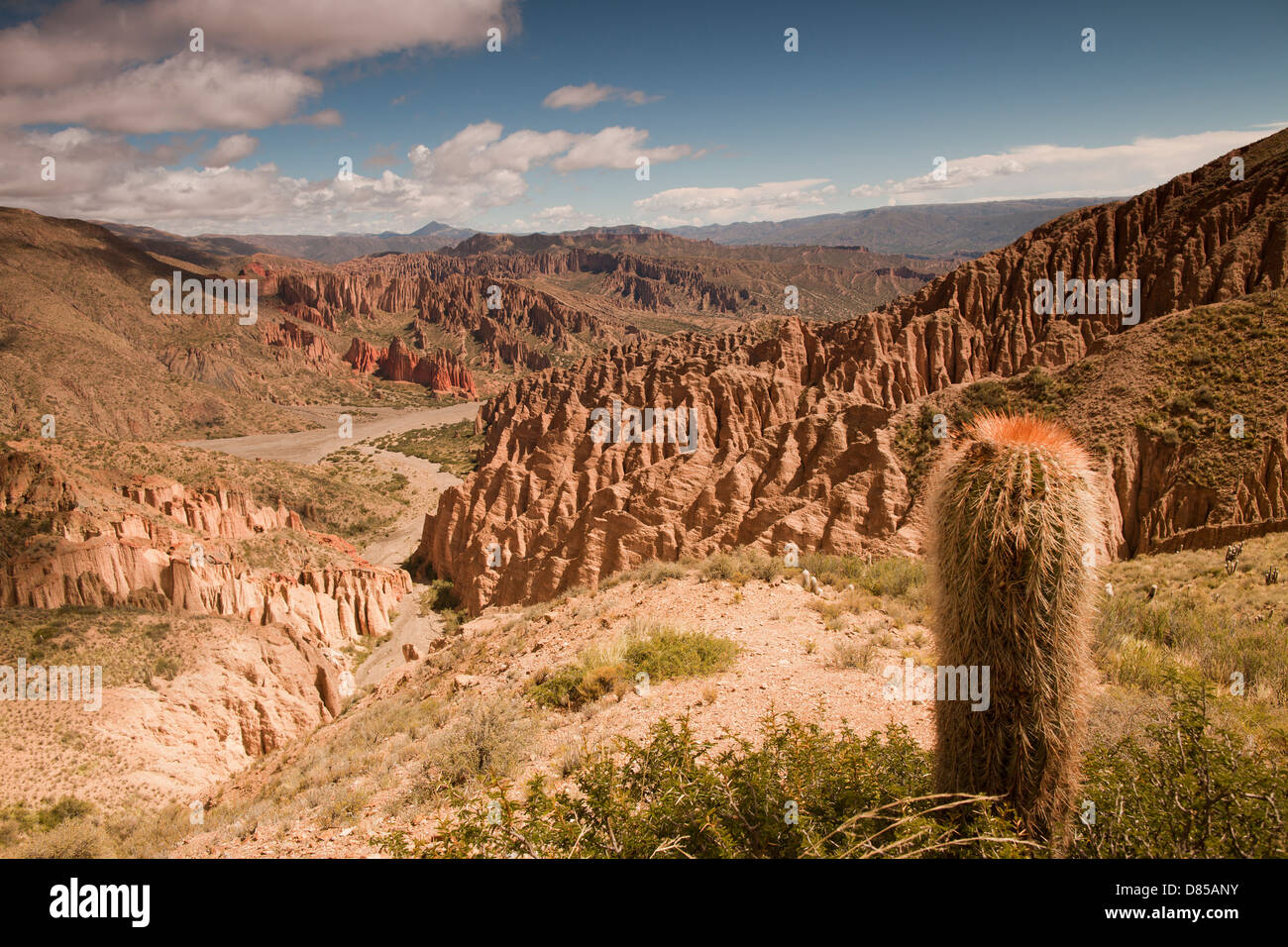 El paisaje del desierto alrededor de la ciudad de Tupiza Foto de stock