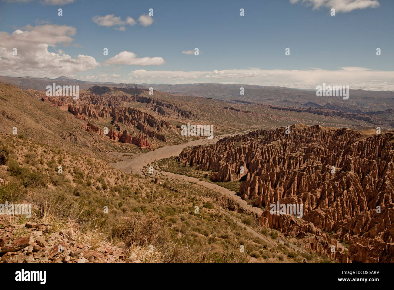 El paisaje del desierto alrededor de la ciudad de Tupiza Foto de stock