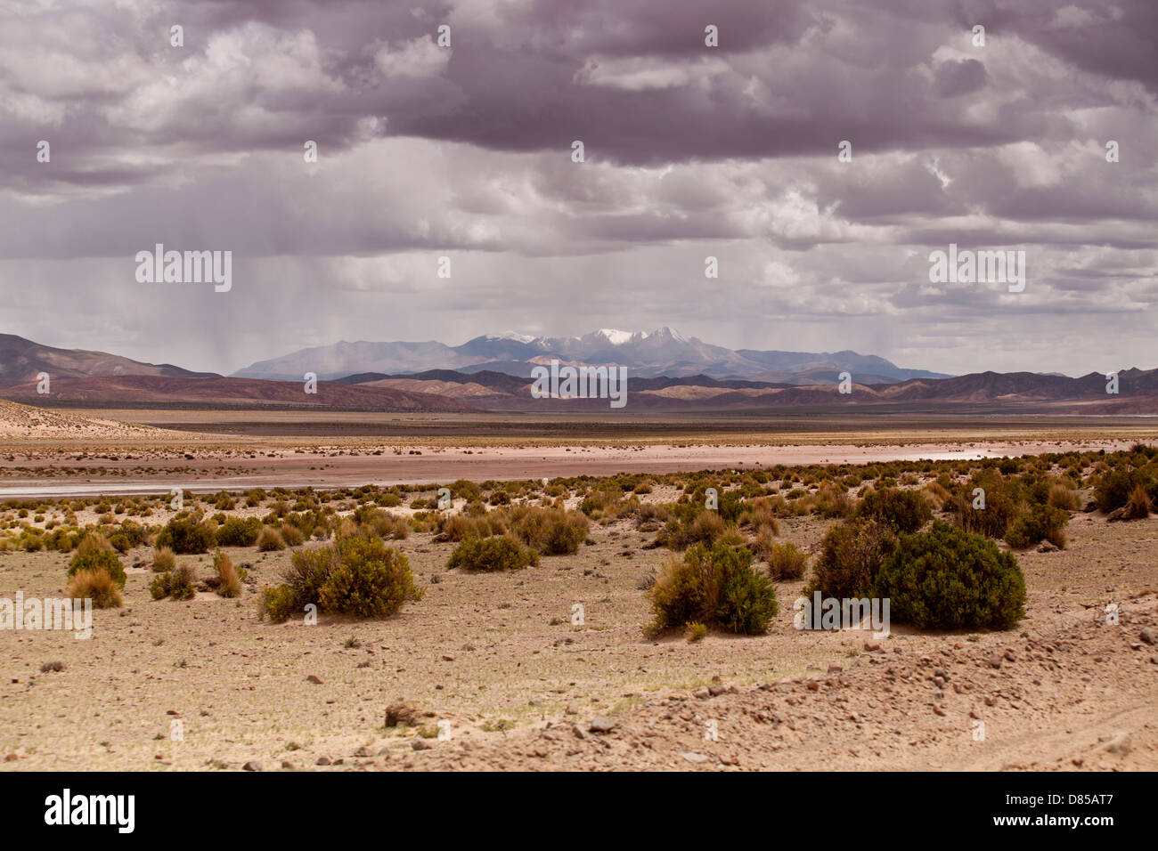 El paisaje del desierto alrededor de la ciudad de Tupiza Foto de stock