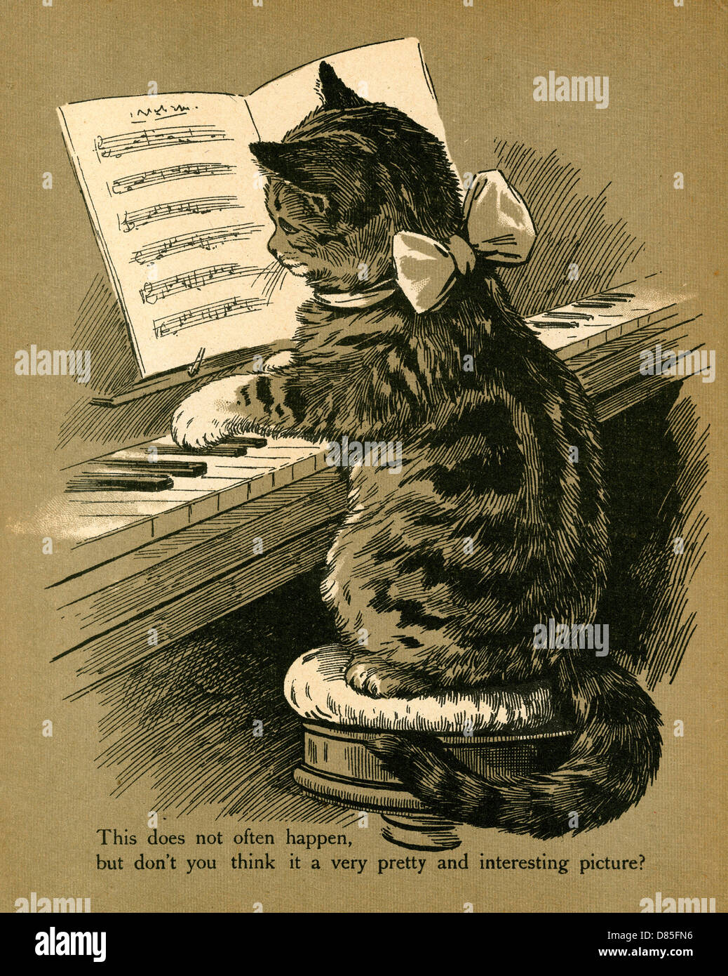 Gato tocando el piano Fotografía de stock - Alamy
