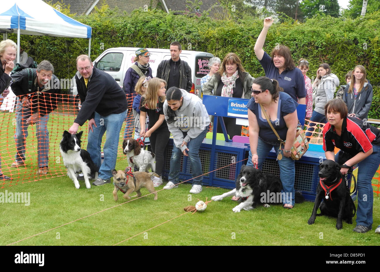 El inicio de un perro terrier raza en un país justo -esto fue en Brinsbury Agricultural College en Sussex en jornada de puertas abiertas Foto de stock