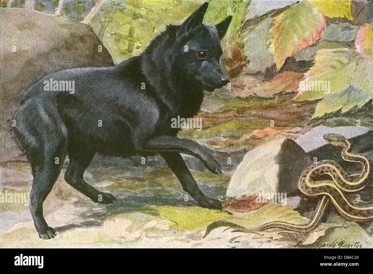Los Perros Sienten Serpientes