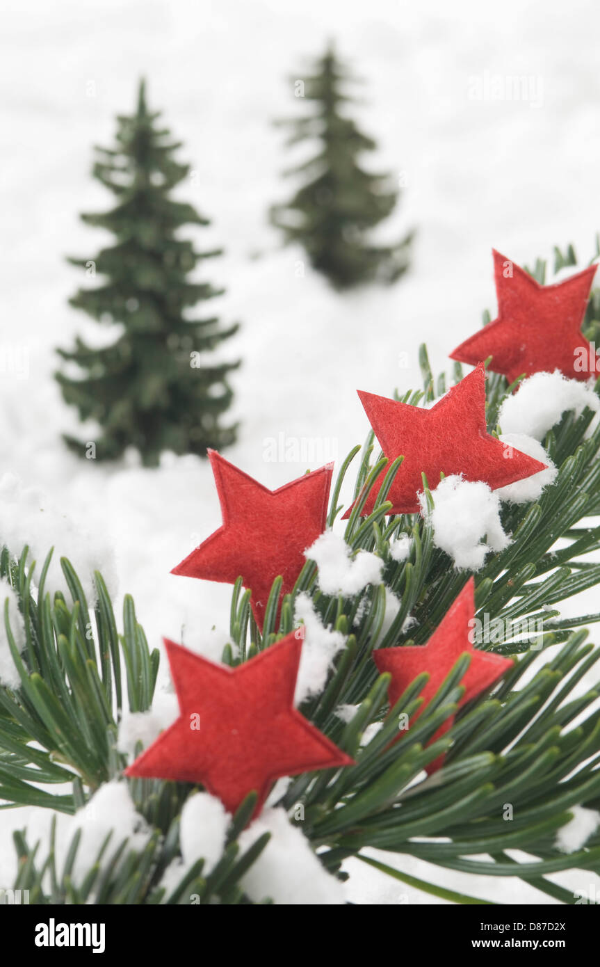Estrella Roja en fir ramita de decoración navideña Foto de stock