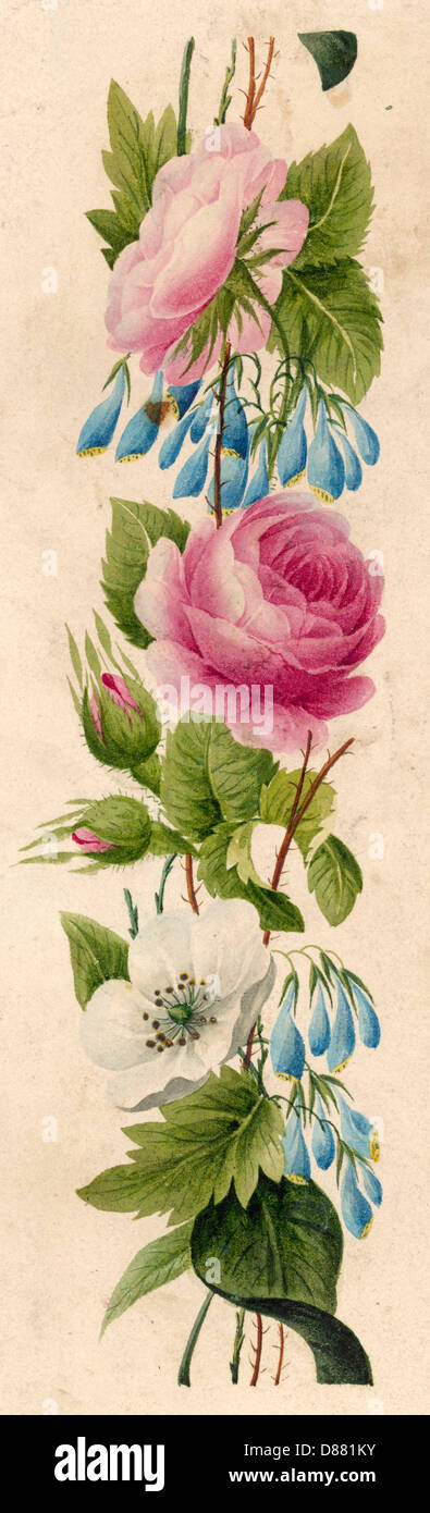 Diseño Floral horizontal Foto de stock