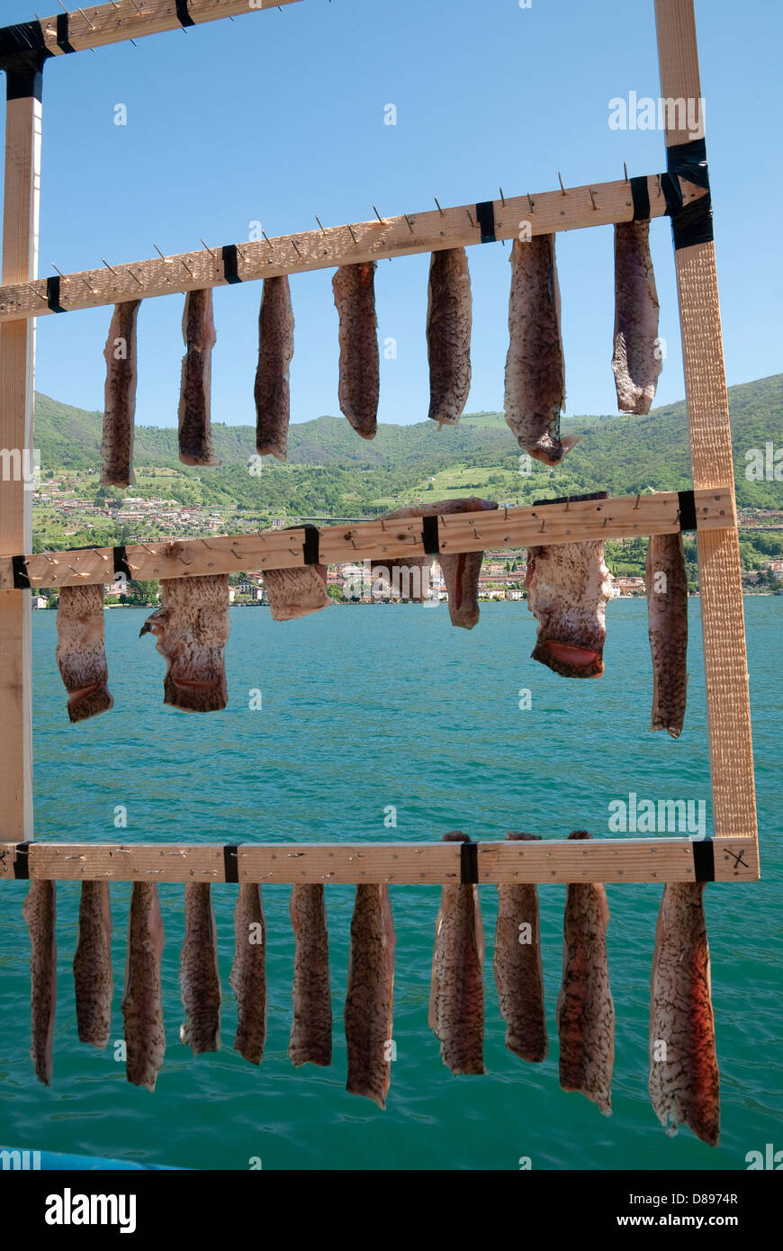 Secado de pescado en rack, monte isola, el lago de Iseo, Lombardía, Italia Foto de stock
