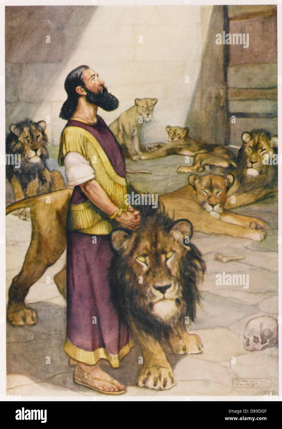 Daniel en la guarida de los leones fotografías e imágenes de alta  resolución - Alamy