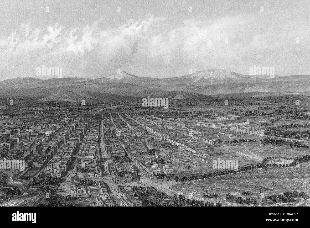 Ciudad de mexico ave Imágenes de stock en blanco y negro Alamy