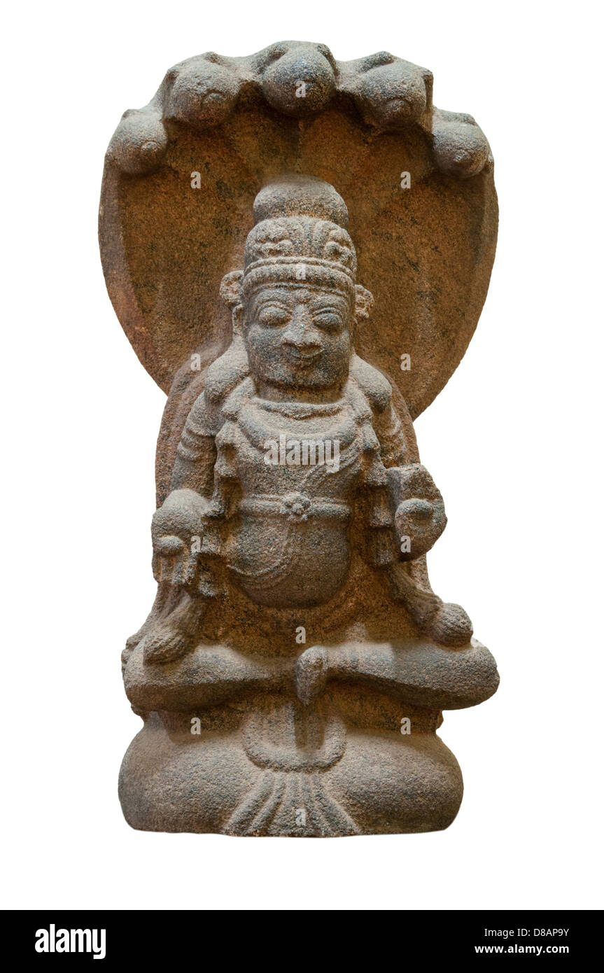 Nagaraja Foto de stock