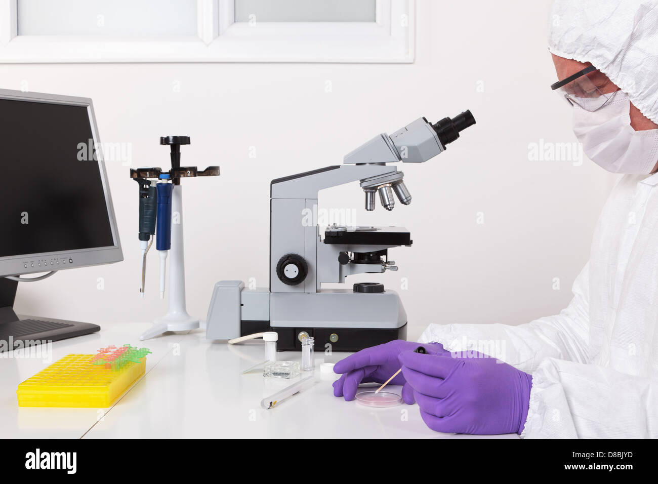 Un técnico de laboratorio tomando una muestra de una placa de Petri Foto de stock