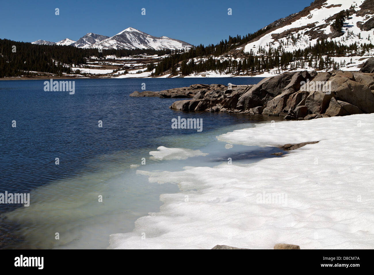 El hielo blando en Tioga lago en la parte oriental de Sierra Nevada durante el deshielo de primavera Foto de stock