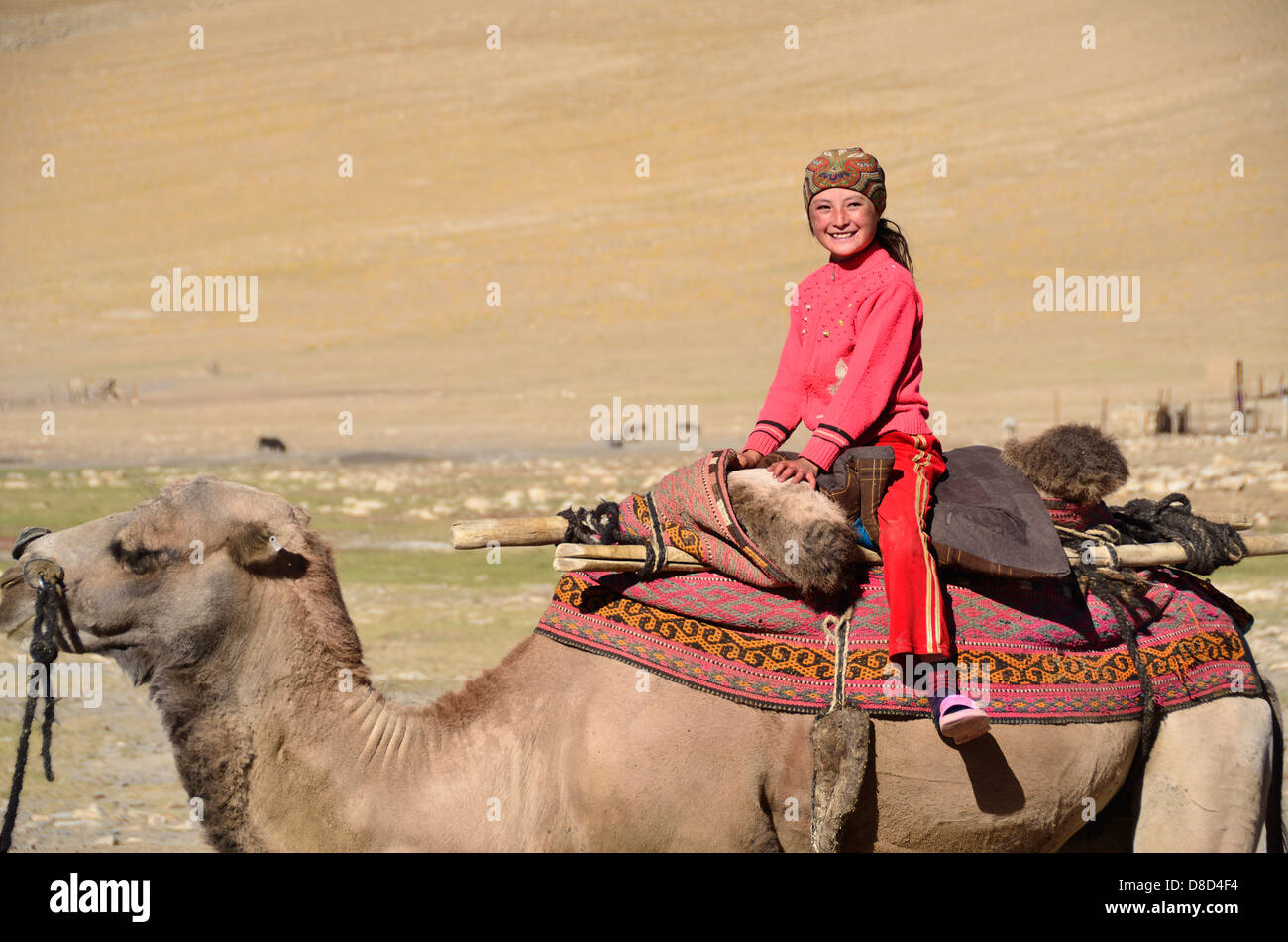 Chica kirguisa lomos de un camello en la meseta de Pamir, Tayikistán Foto de stock