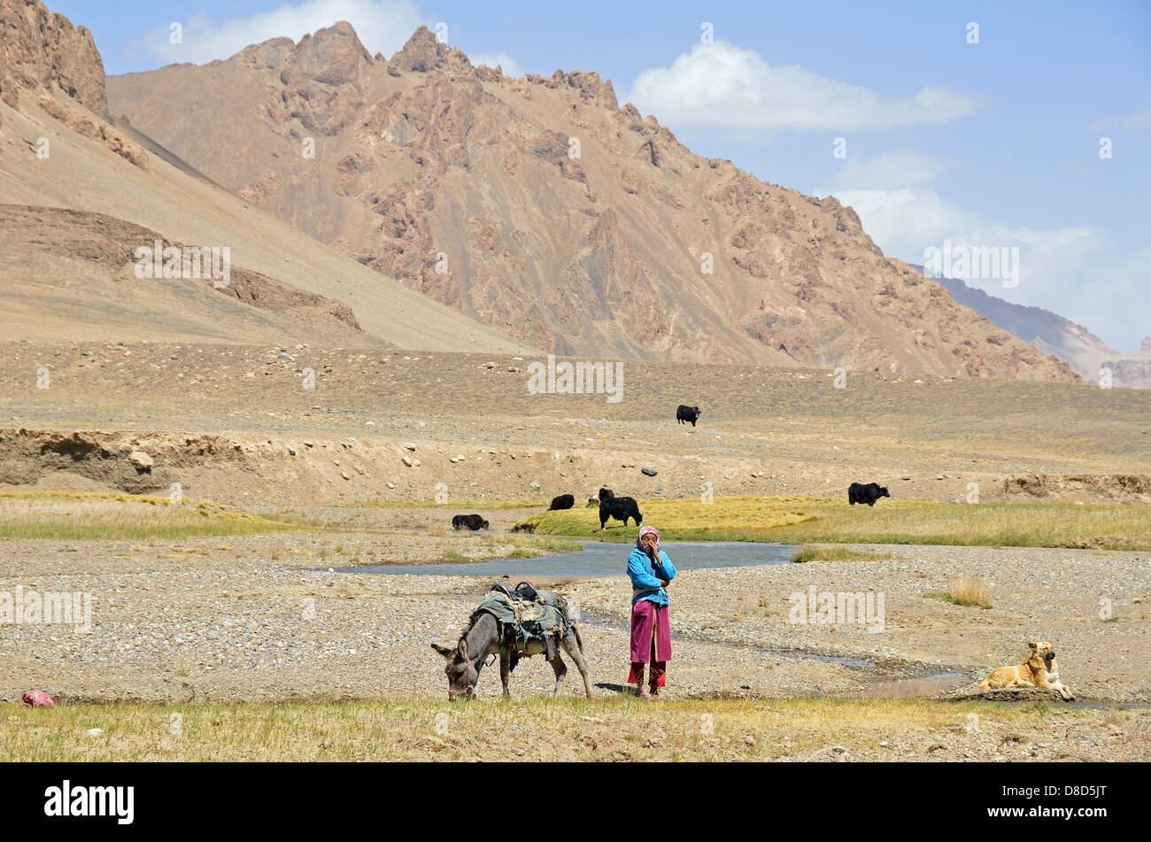 Nómadas kirguises cabalgando un burro y pastoreo yaks en las montañas de Pamir, Tayikistán Foto de stock