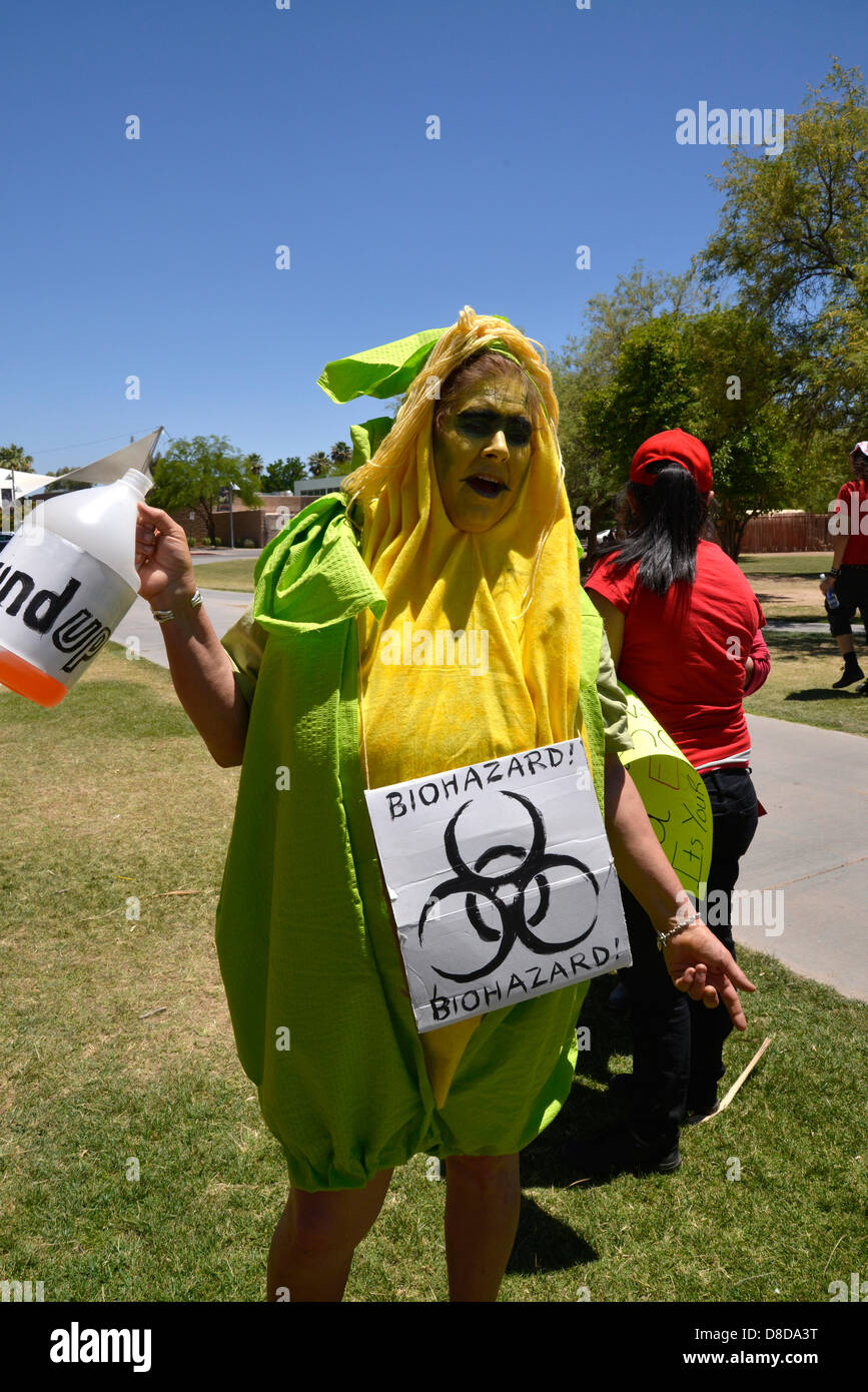 Tucson, Arizona, EE.UU. 25 de mayo de 2013. Alrededor de 1.000 manifestantes participaron en una marcha organizada por Monsanto libre Tucson contra OGM, o los organismos genéticamente modificados, el 25 de mayo de 2013, en el Reid Park de Tucson, Arizona, EE.UU. Crédito: Norma Jean Gargasz/Alamy Live News Foto de stock