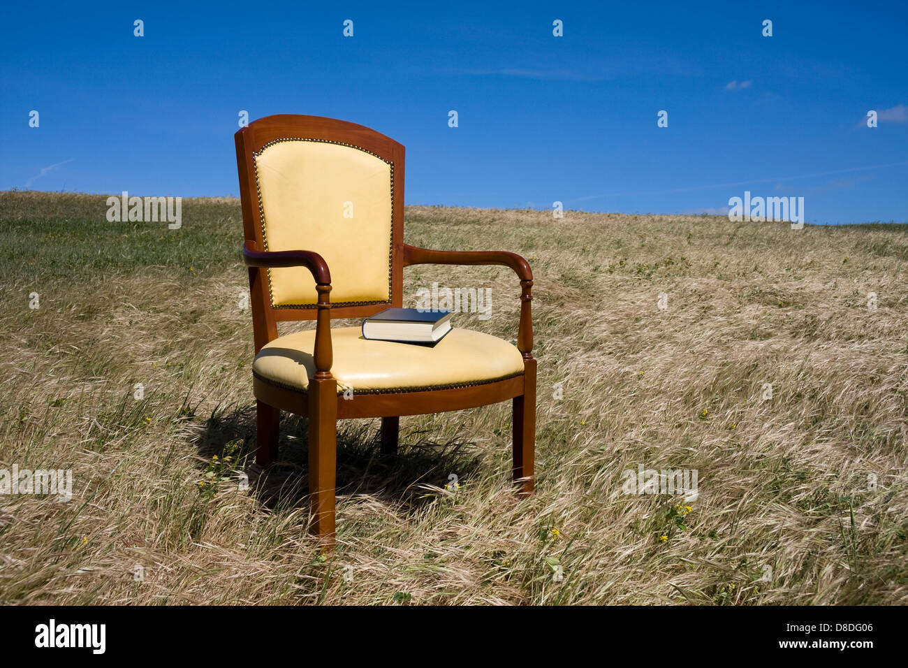Un libro y un sillón en un campo Fotografía de stock - Alamy