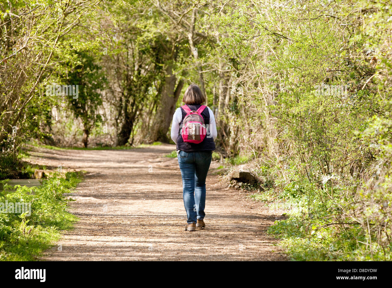 Mujer de mediana edad con mochila caminando por un sendero en el bosque bosque, Norfolk, East Anglia, en el REINO UNIDO Foto de stock