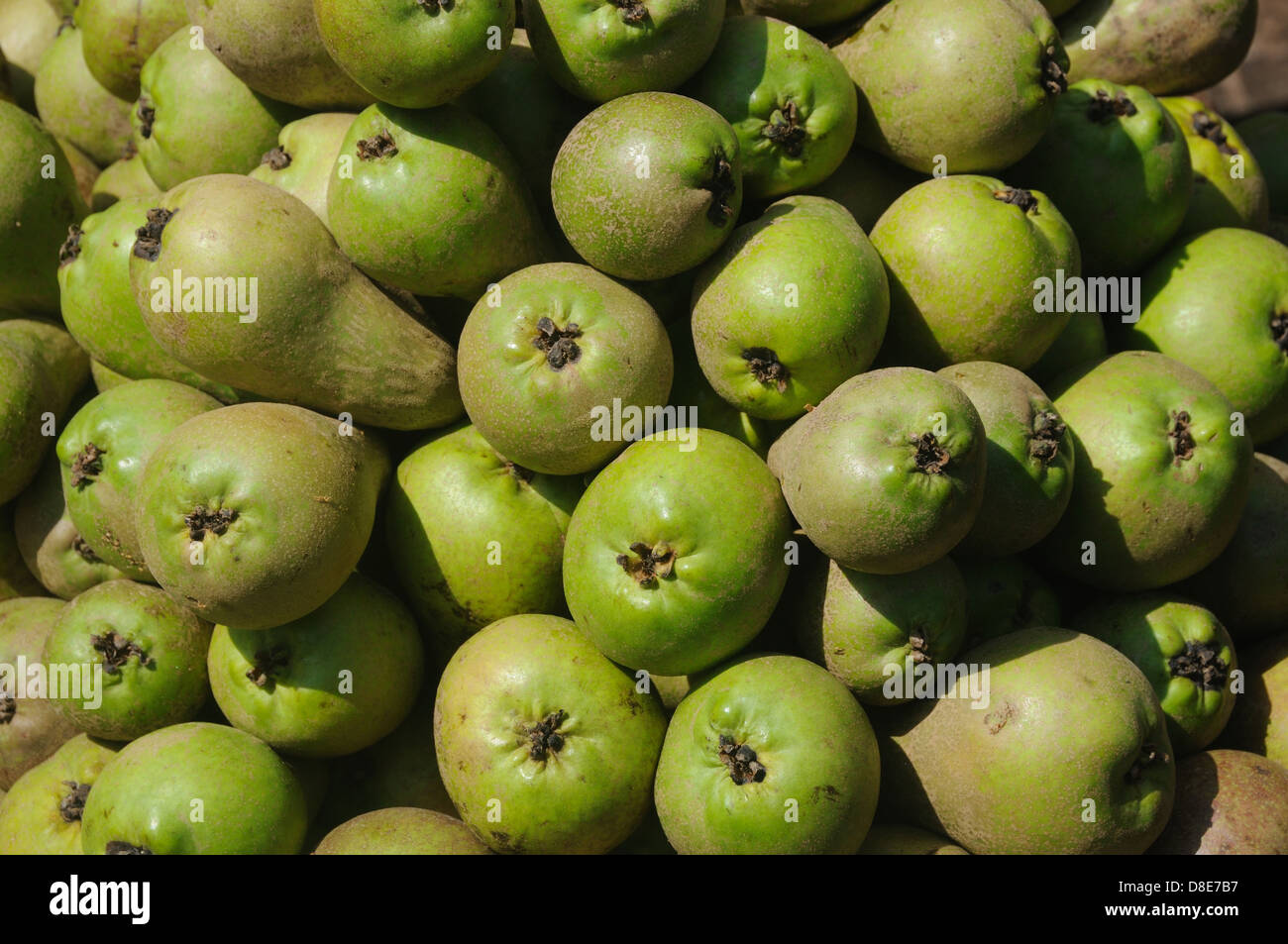 Fruta de pera fotografías e imágenes de alta resolución Alamy