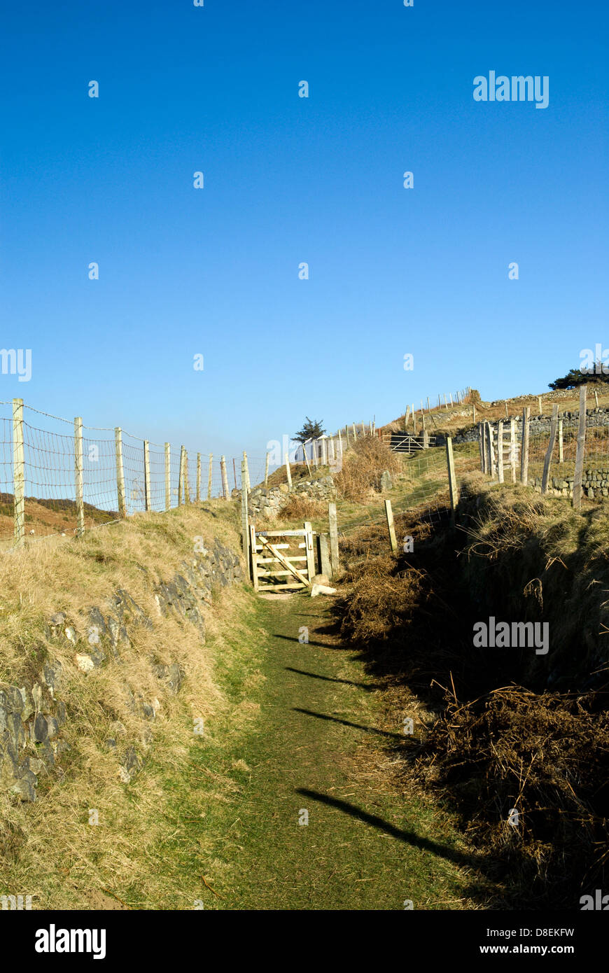 Lleyn sendero costero, West End, Trefor, Península de Lleyn, Gwynedd, Gales del Norte. Foto de stock