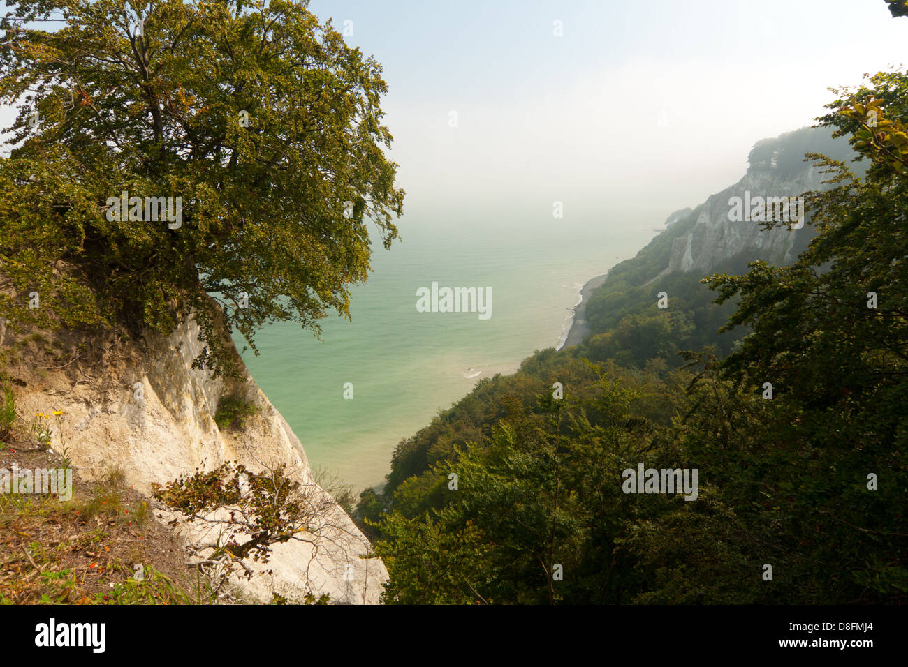 Chalk acantilado de Jasmund Foto de stock