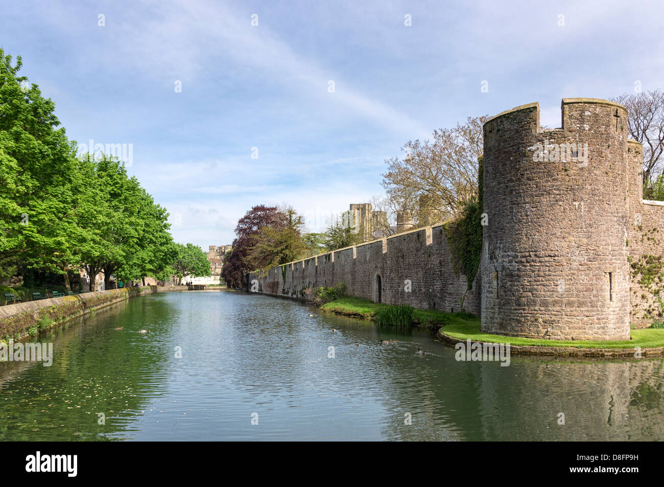 Foso que rodea el Palacio de los obispos medievales en Wells, Somerset, Inglaterra, Reino Unido. Foto de stock