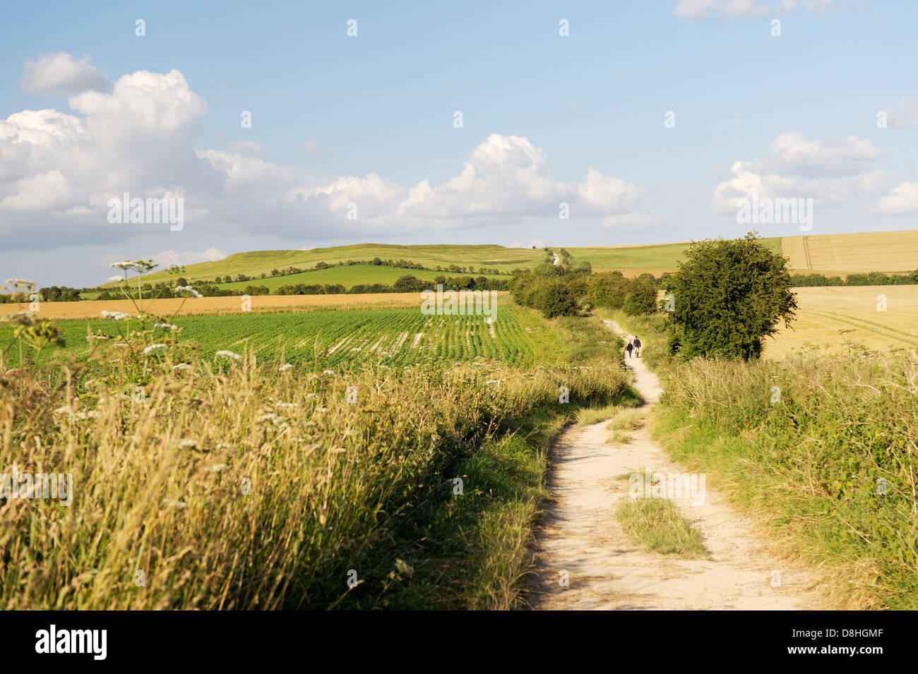 El Ridgeway cerca de Wayland's herrería hacia Uffington castle. Parte de los 5000 años de pista de larga distancia. Oxfordshire, Inglaterra Foto de stock