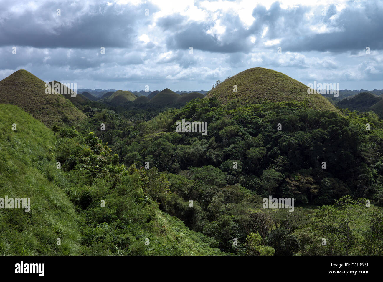 Las Colinas de Chocolate formación geológica de la provincia de Bohol, Filipinas. Foto de stock
