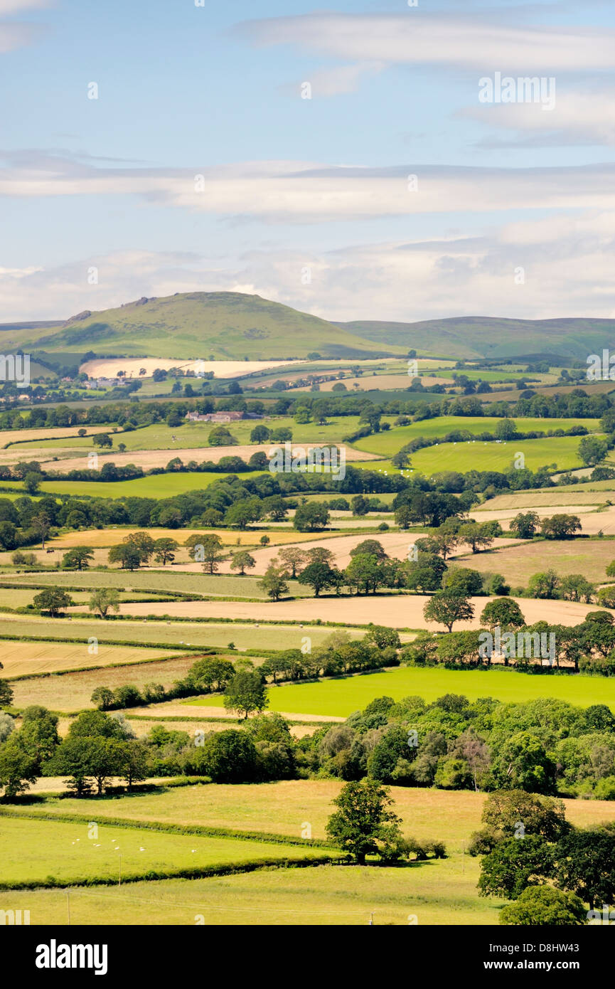 Sudoeste de Wenlock Edge cerca Easthope durante el verano cultivadas de Ape Dale a caer Caradoc y la larga Mynd, Shropshire Inglaterra Foto de stock