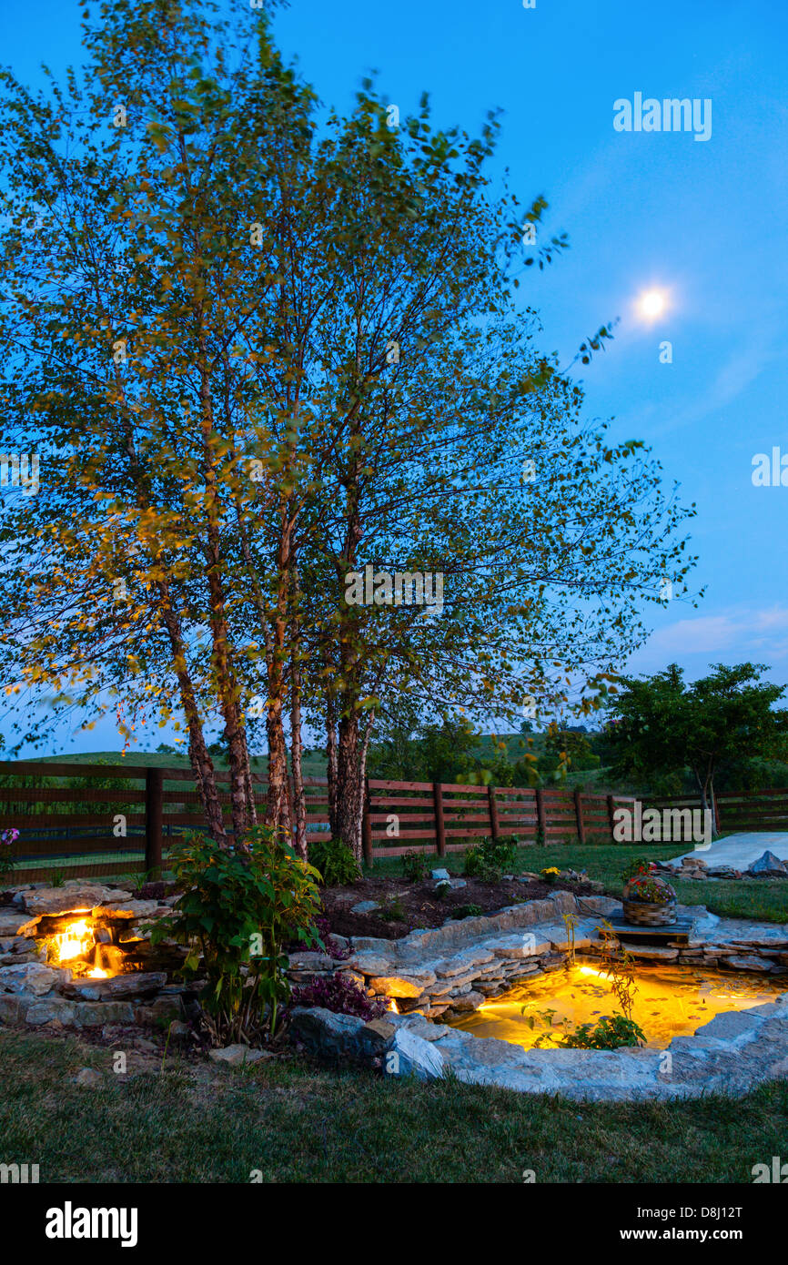 Estanque Koi en un jardín por la noche Foto de stock