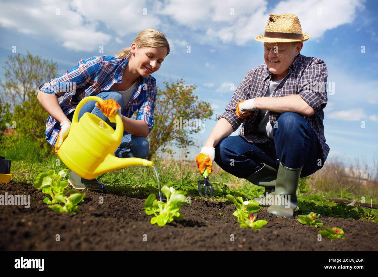 Imagen de la Pareja de granjeros de plántulas y coles de riego en el jardín Fotografía de stock - Alamy Imagen de la Pareja de granjeros de plántulas y coles de riego en el jardín Fotografía de stock - Alamy