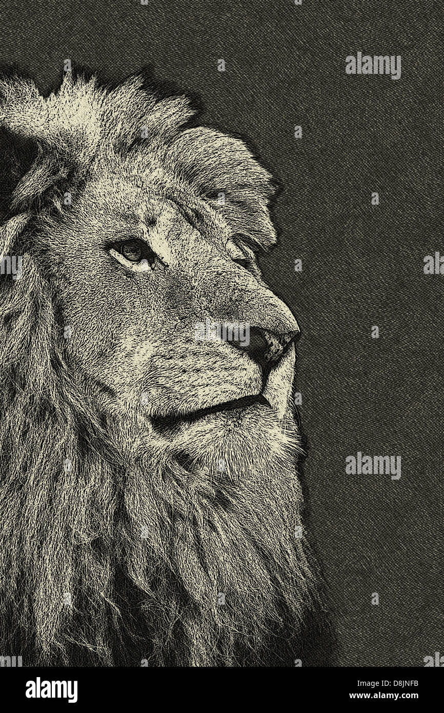 Imagen de león 3d fotografías e imágenes de alta resolución - Alamy