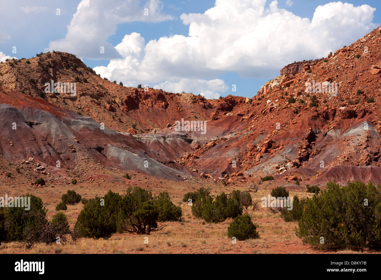 Colorido paisaje y el entorno en Nuevo México cerca de Rancho Fantasma Foto de stock