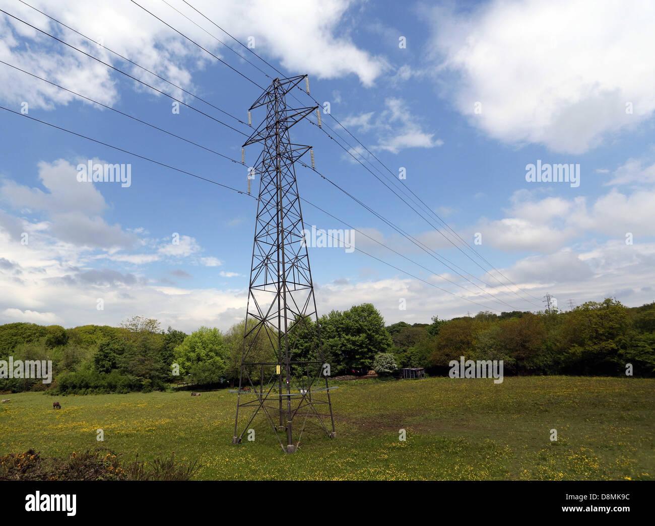 Robar cable fotografías e imágenes de alta resolución - Alamy