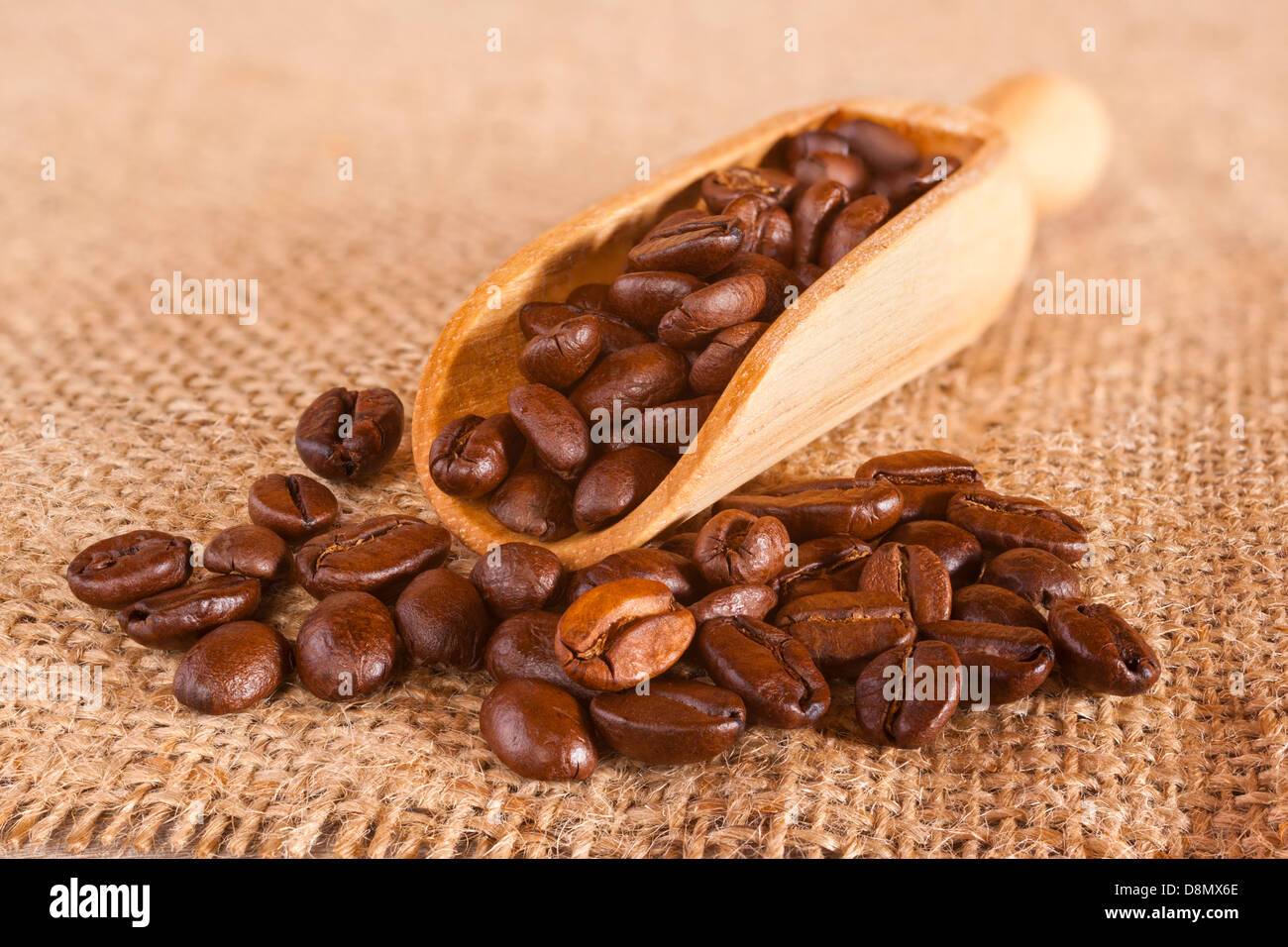 Los granos de café derramándose desde una boca sobre un fondo de arpillera o de yute. Foto de stock