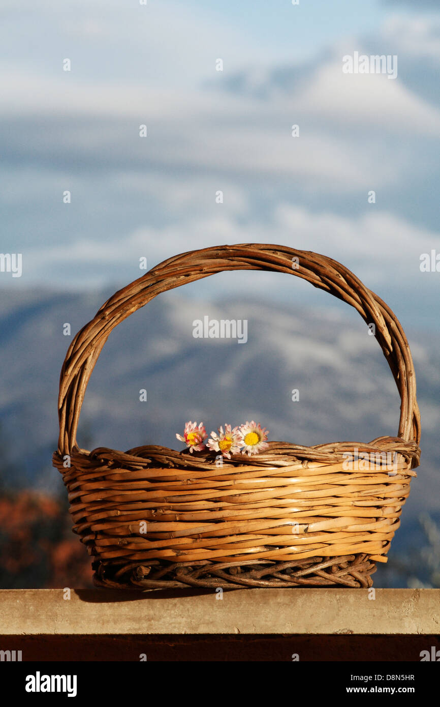 Una cesta de mimbre llena de margaritas, con las montañas como telón de fondo. Foto de stock