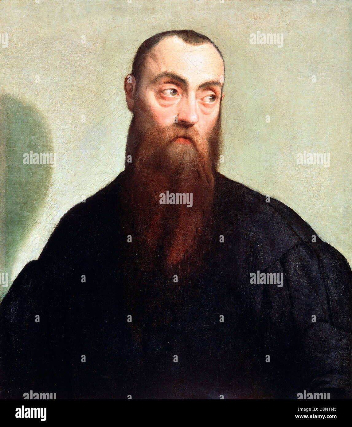 Jacopo Bassano, Retrato de un Hombre Barbado. Circa 1550. Óleo sobre lienzo. El Museo J. Paul Getty. Foto de stock