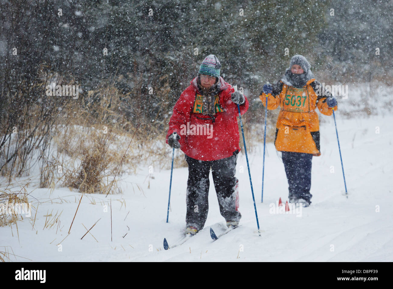 Dos esquiadores esquían en la Mora Vasaloppet durante una tormenta de nieve el 10 de febrero de 2013 cerca de Mora, Minnesota. Foto de stock