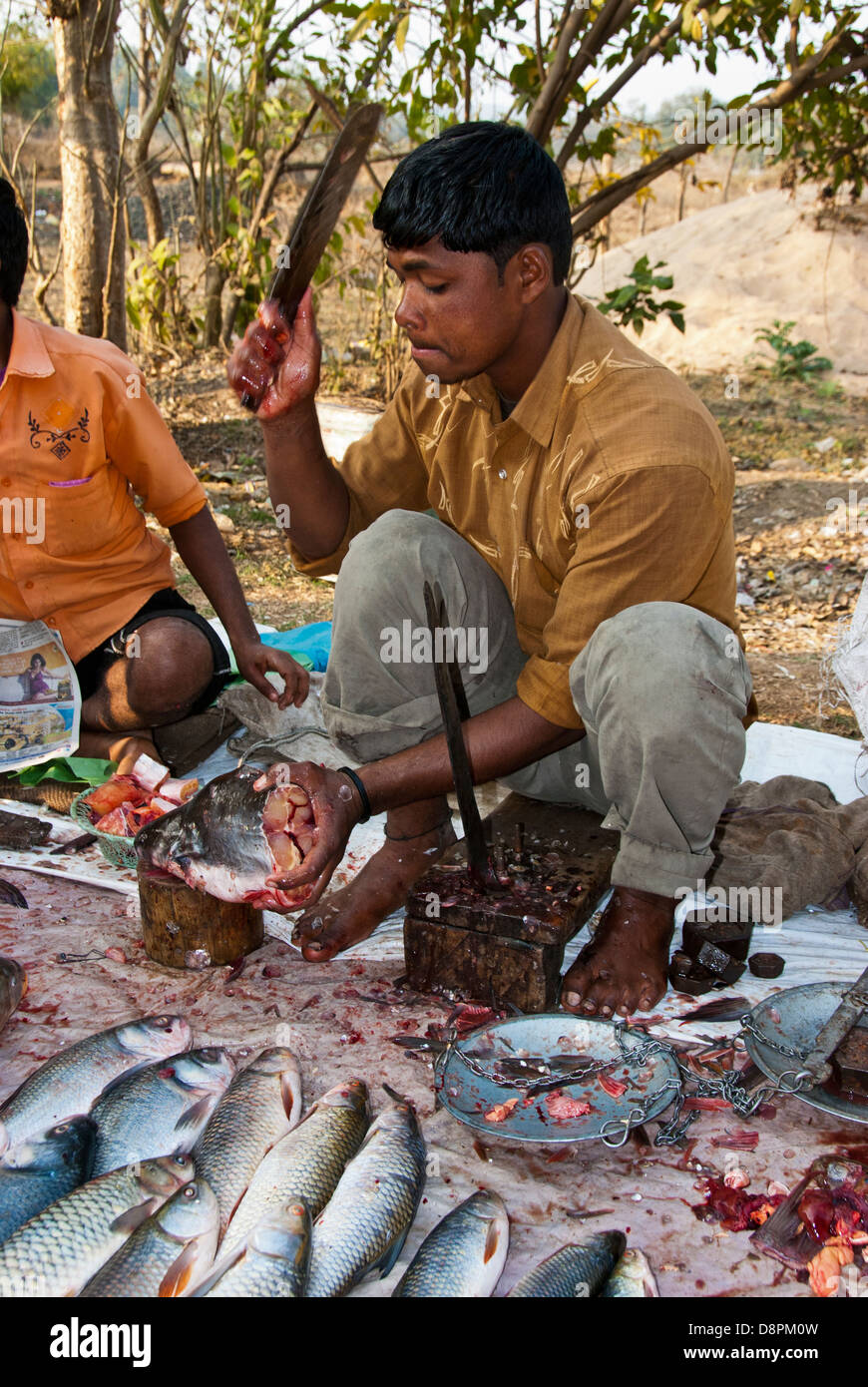 Indian preparando un pescado en un mercado de pescado al aire libre en el pueblo de Moca, Madya Pradesh, India Foto de stock