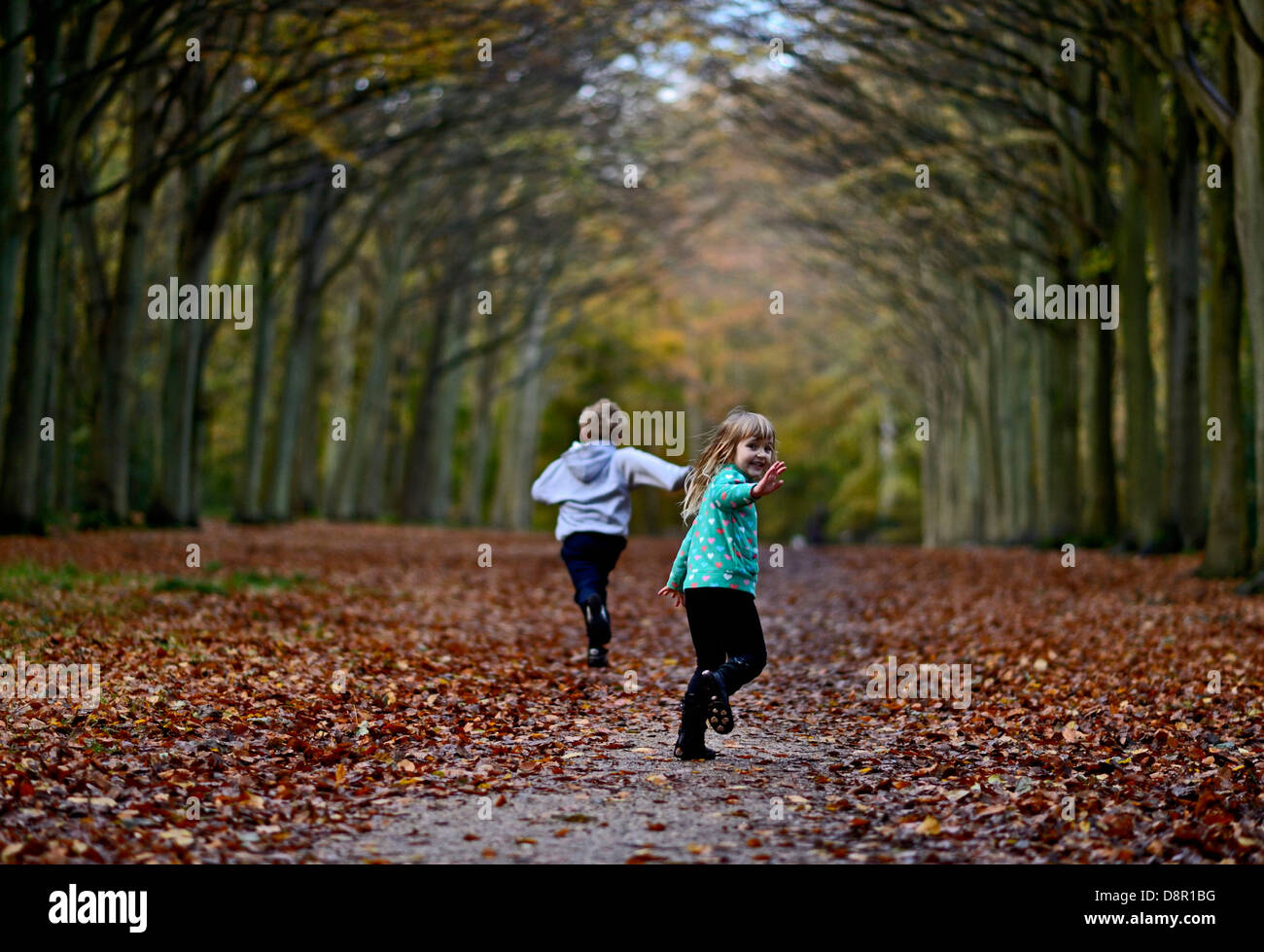 Niño y niña jugando en los bosques en otoño de Norfolk UK Foto de stock