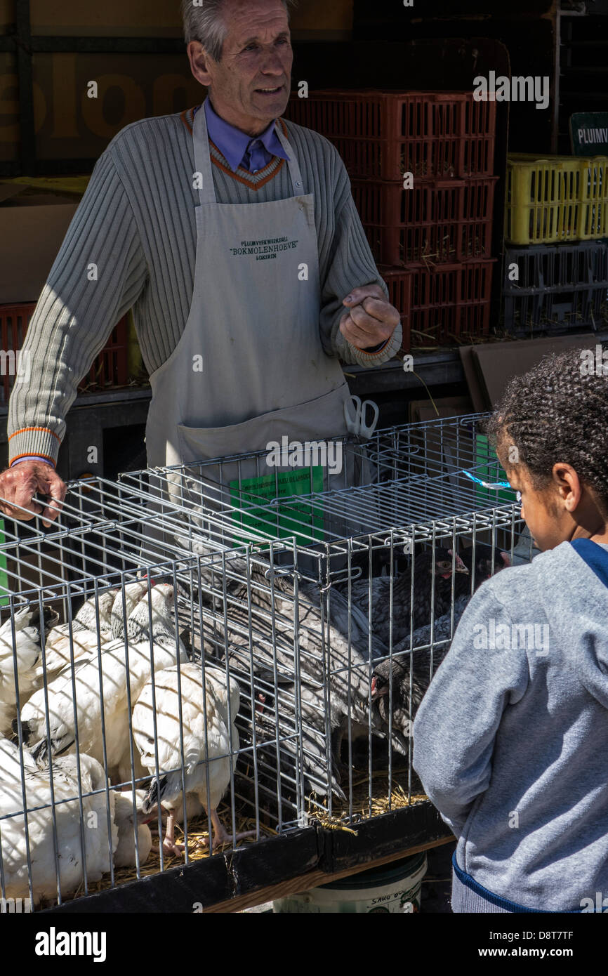 En las aves de corral Stallholder stand y niño mirando los pollos en jaulas para su venta en el mercado de animales domésticos Foto de stock