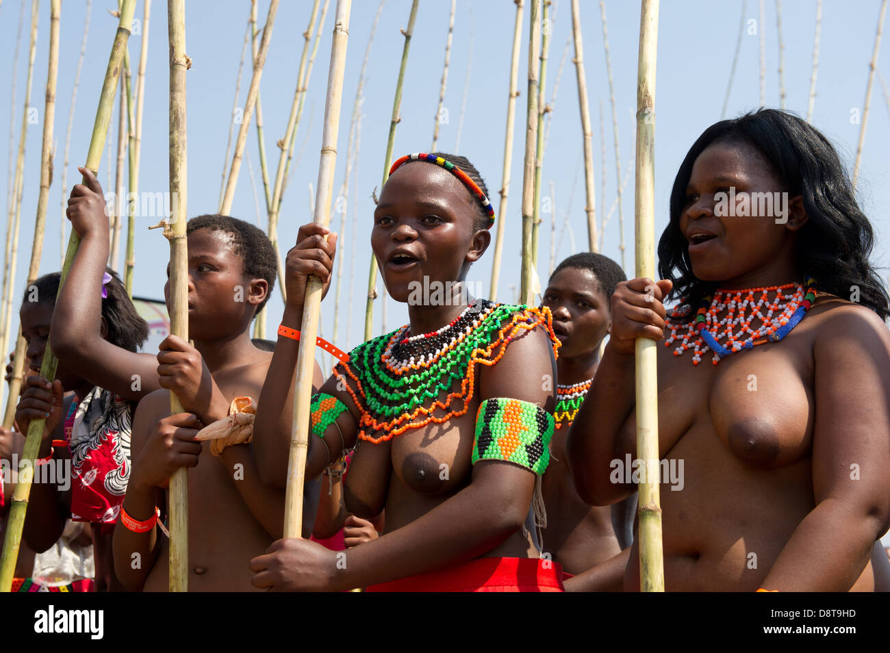 Zulu doncellas entregar reed palos al Rey zulú de baile en palacio eNyokeni...