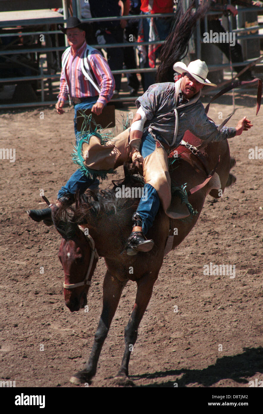 Saddle bronc montando caballos salvajes, bronc ride, bronco, caballo salvaje vive en wild,tirones bronc riding, saddle bronc riding,mustang, Foto de stock